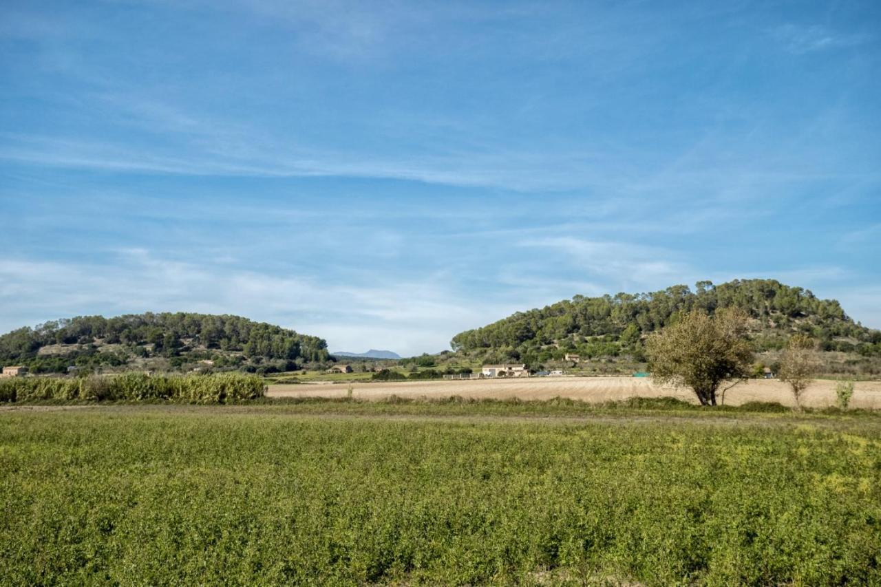 Villa Es Camp Pla à Sineu  Extérieur photo